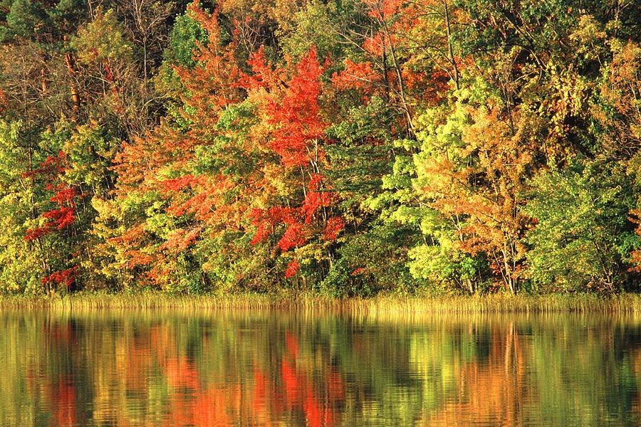 Adirondack Fall Foliage Reflection Photograph by Art Spearing