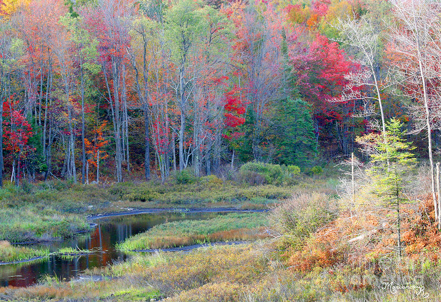 Adirondack Fall Photograph by Mariarosa Rockefeller