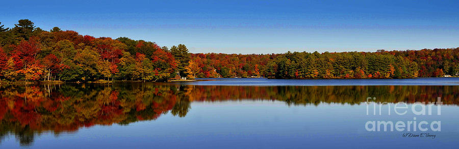 Adirondack October Photograph by Diane E Berry