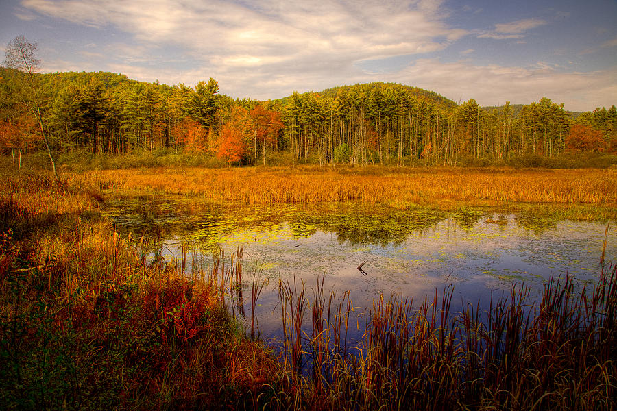 Adirondack Pond II Photograph by David Patterson