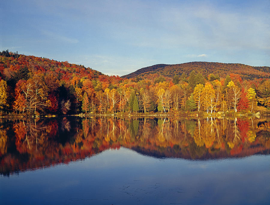 131704-Adirondack Reflect Photograph by Ed  Cooper Photography