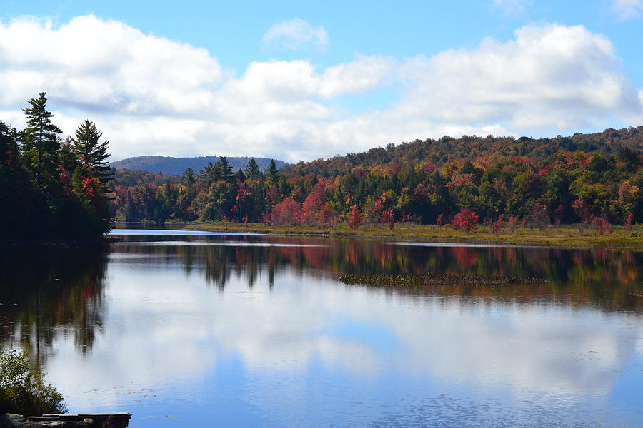 Adirondack Reflections Photograph by Mary Lisa Photography | Fine Art ...