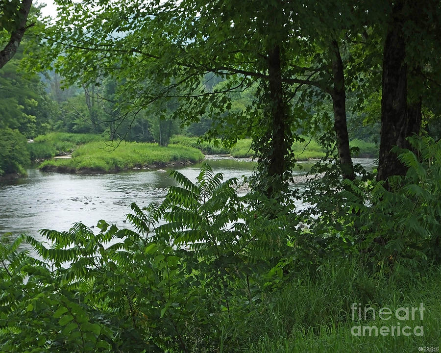Adirondack Roadside River Photograph