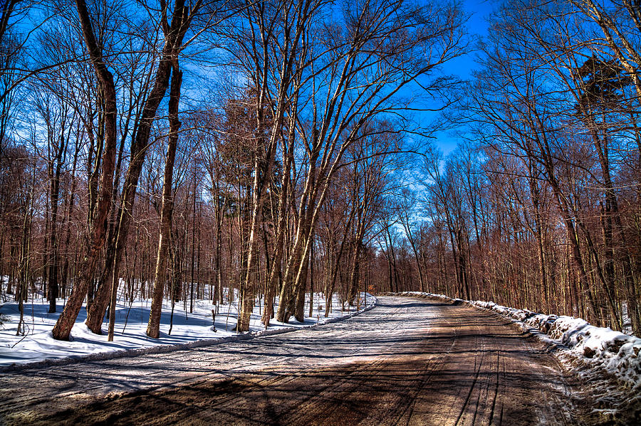 Winter Photograph - Adirondack Shadows on Rondaxe Road South by David Patterson
