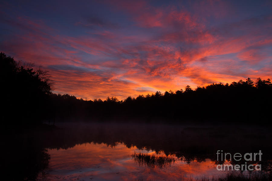 Adirondack Sunrise Photograph by Chris Scroggins