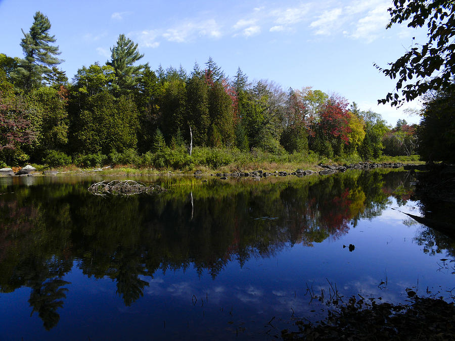 Adirondacks fall colors 5 Photograph by Tracy Winter - Fine Art America