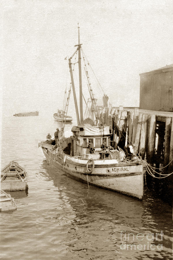 Boat Photograph - Admiral early purse seiners Monterey circa 1929 by Monterey County Historical Society