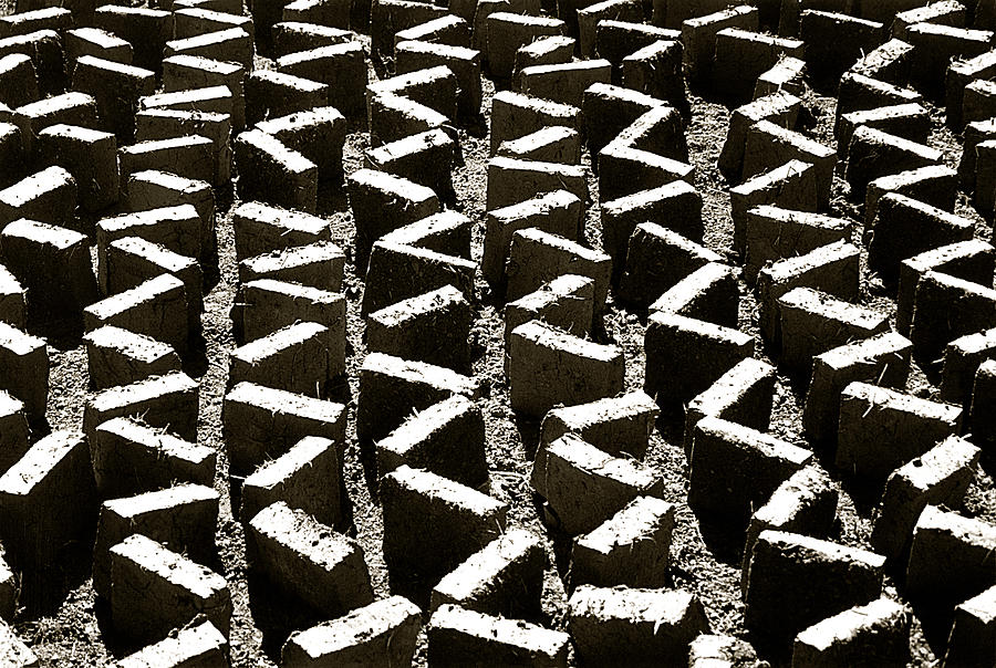 Adobe Brick Photograph by Amarildo Correa