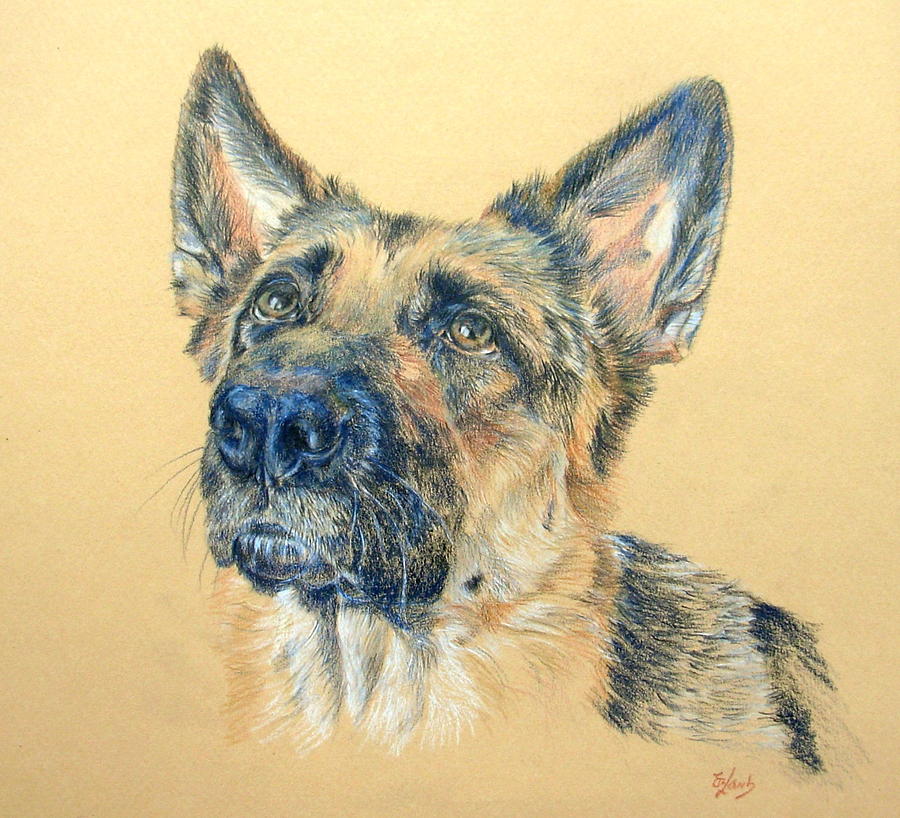 Adoring Drawing by Liz Lamb - Fine Art America