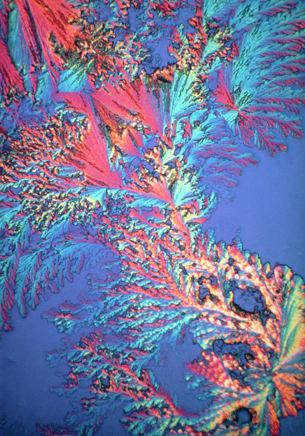 Adrenalin Hormone Crystals Photograph by David Parker/science Photo ...