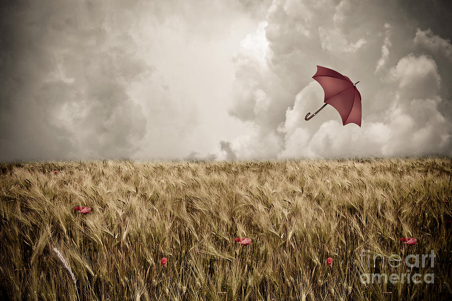 Red Umbrella Photograph - Adrift by Stacey Granger