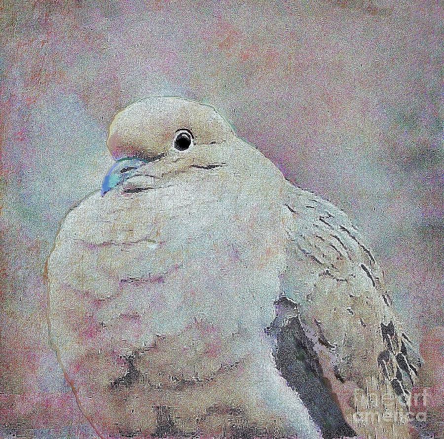 Adult Mourning Dove Digital Art by Janette Boyd
