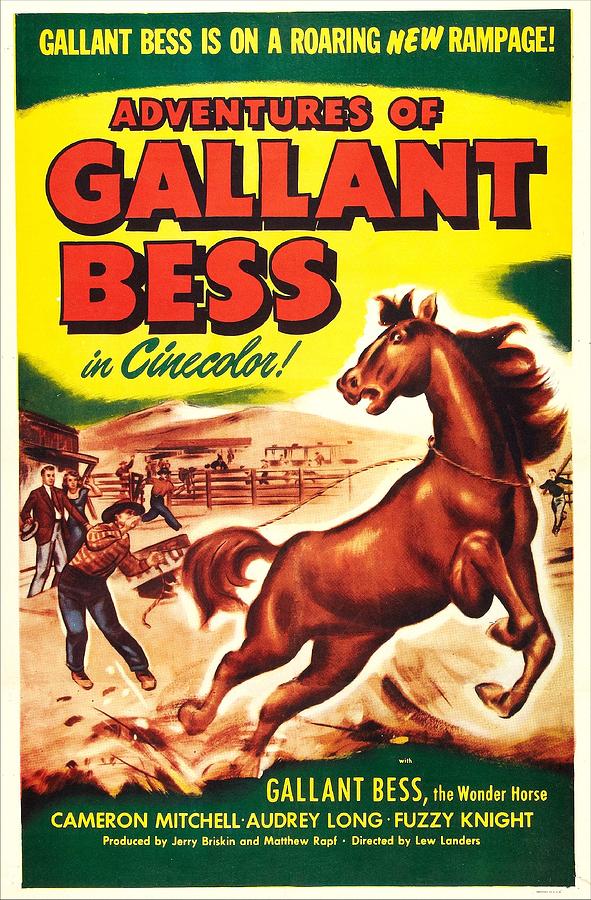 Adventures Of Gallant Bess, Us Poster Photograph by Everett