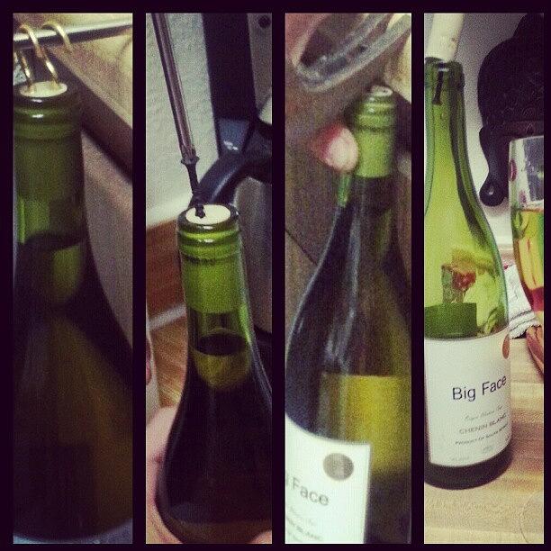 Adventures Of Opening A Wine Photograph by Aymee Hufford