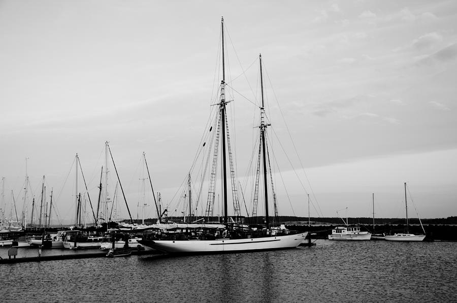 Adventuress Photograph by Bob VonDrachek - Fine Art America