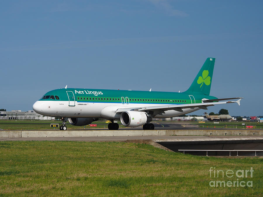 Transportation Photograph - Aer Lingus Airbus A320 by Paul Fearn