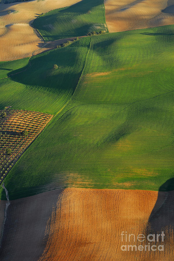 Landscape Photograph - Aerial Geometries by Guido Montanes Castillo