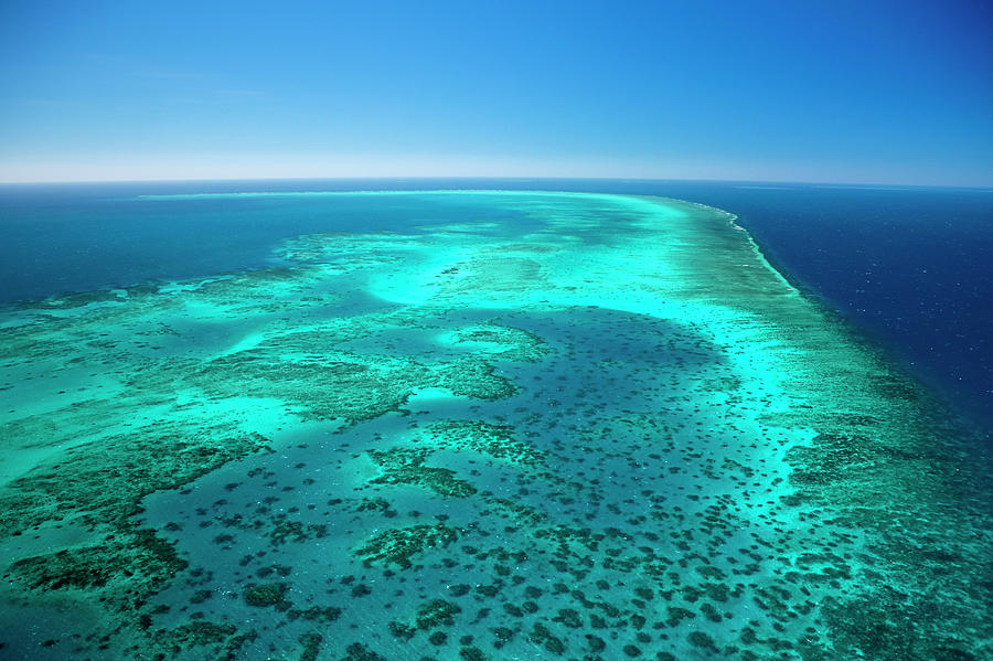 Aerial Of Arlington Reef In The Great by Andrew Watson