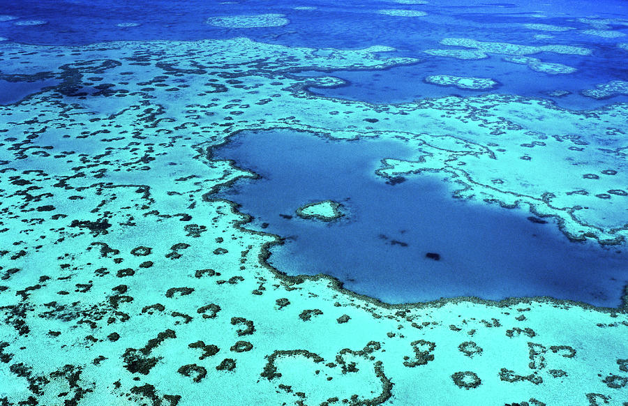 Nature Photograph - Aerial Of Heart-shaped Reef At  Hardy by Holger Leue