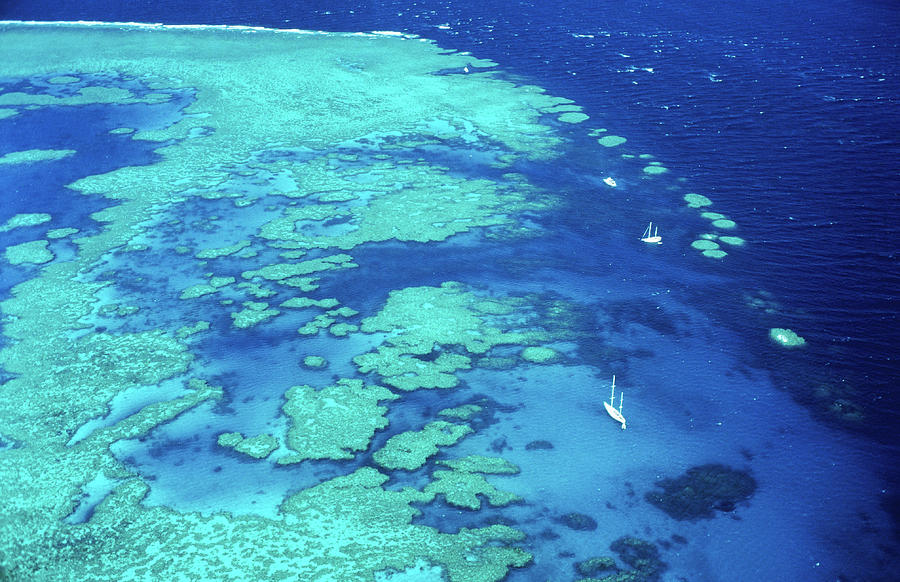 Aerial Of Sailboats At Hardy Reef, Near Photograph by Holger Leue Aerial Of Sailboats At Hardy Reef, Near Photograph by Holger Leue