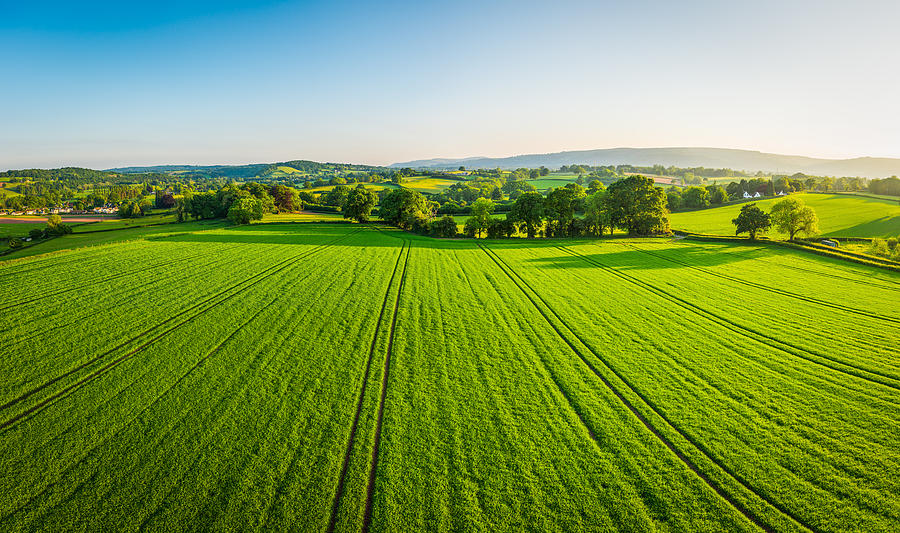 Aerial panorama over healthy green crops in patchwork pasture farmland Photograph by fotoVoyager