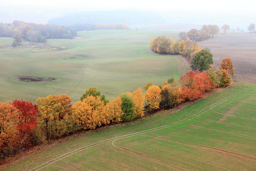 Aerial Photo Of Autumn Trees Photograph by Dariuszpa