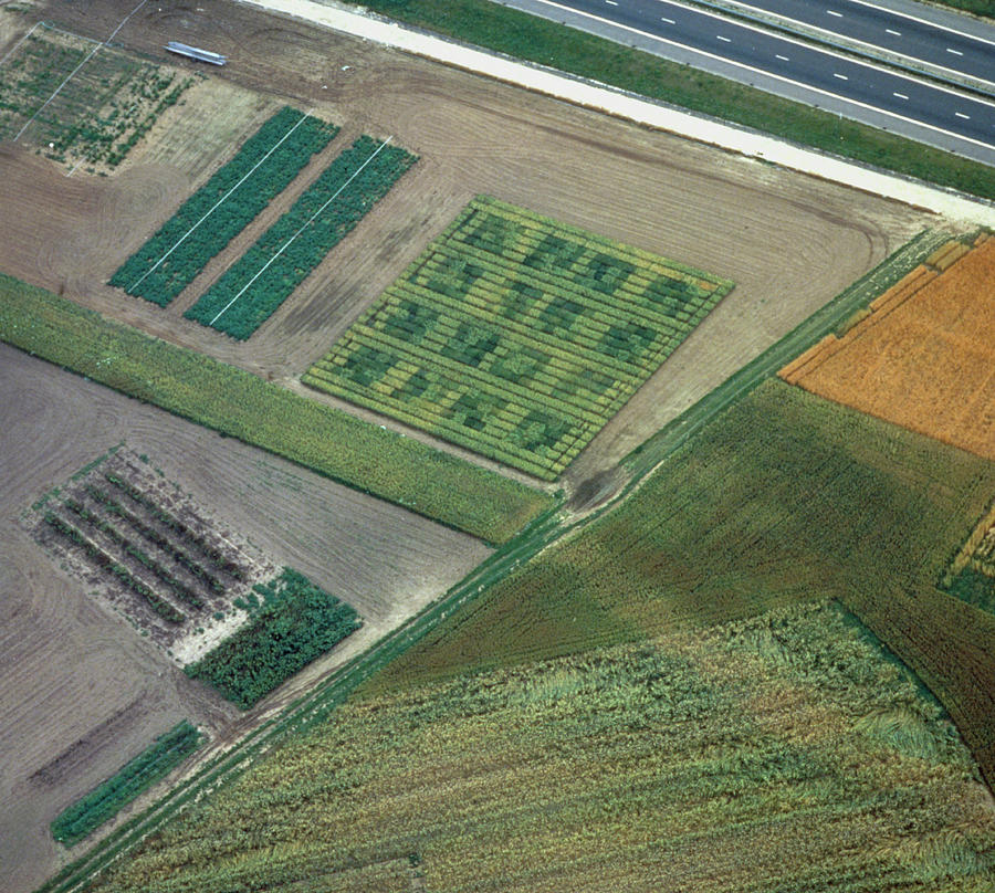 Aerial Photo Showing Crop Patterns Photograph by University Of Cambridge Collection Of Aerial Photographs/science Photo Library