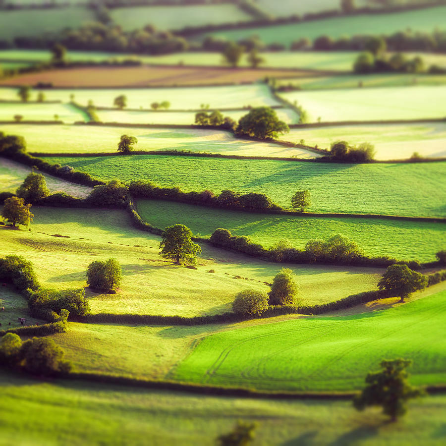 Aerial tilt-shift view of pastoral English fields Photograph by Georgeclerk