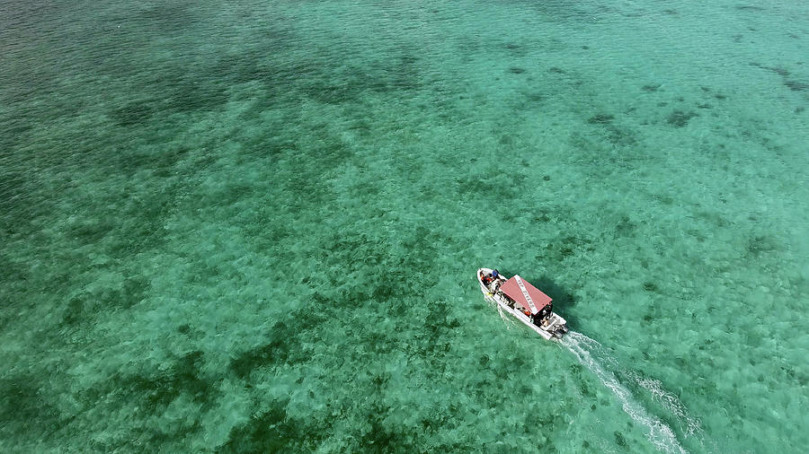 Aerial View Of A Diving Boat In Yap Photograph by Andreas Schumacher