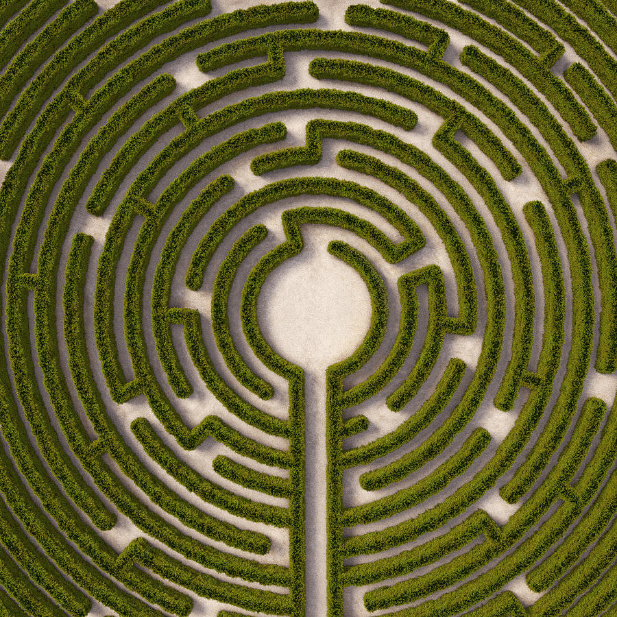 Aerial view of circular hedge maze, path to centre Photograph by Dimitri Otis