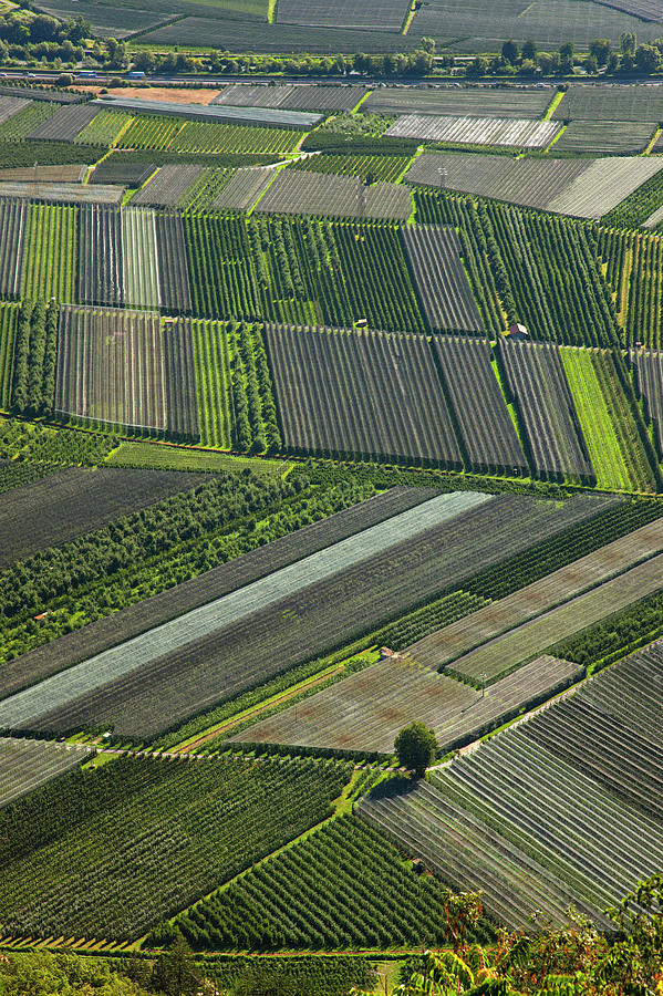 Aerial View Of Crop Fields Photograph by Henglein And Steets