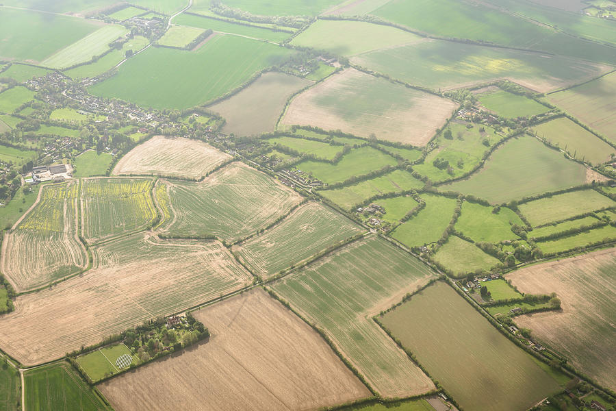 Aerial View Of Cultivated Land In London Photograph by Franckreporter