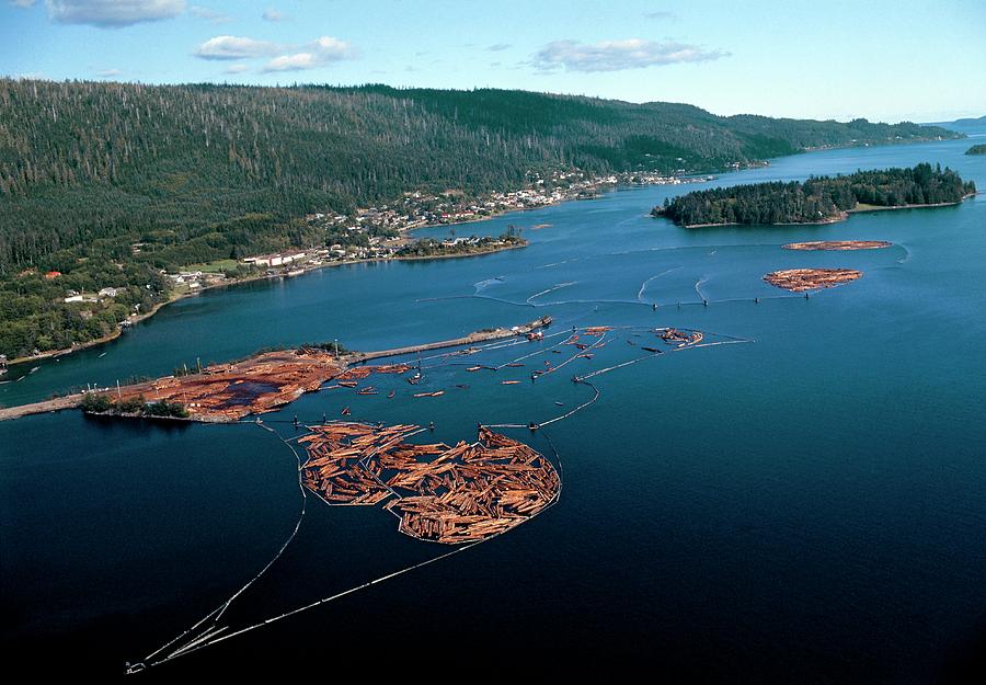 Aerial View Of Felled Timber Logs On Water Photograph by David Nunuk/science Photo Library