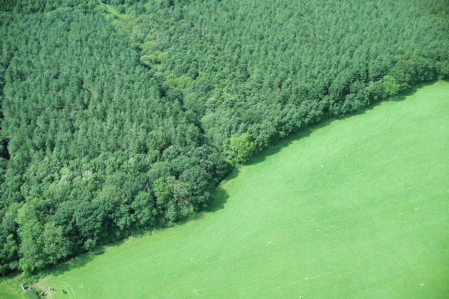 Aerial View Of Forest And Rural Field Photograph by Peter Muller