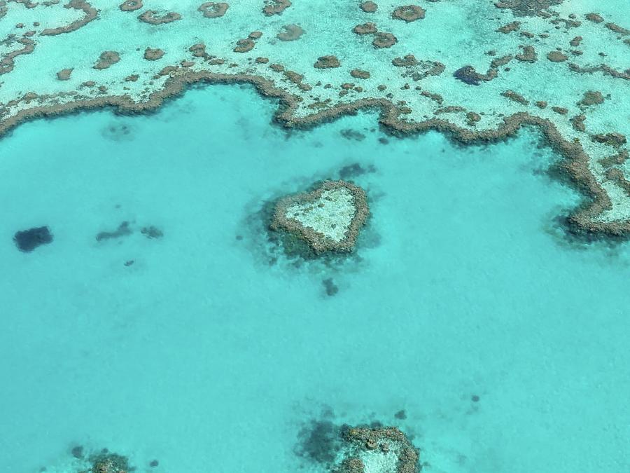 Aerial View Of Great Barrier Reef Photograph by Neil Baldwin / Eyeem Aerial View Of Great Barrier Reef Photograph by Neil Baldwin / Eyeem