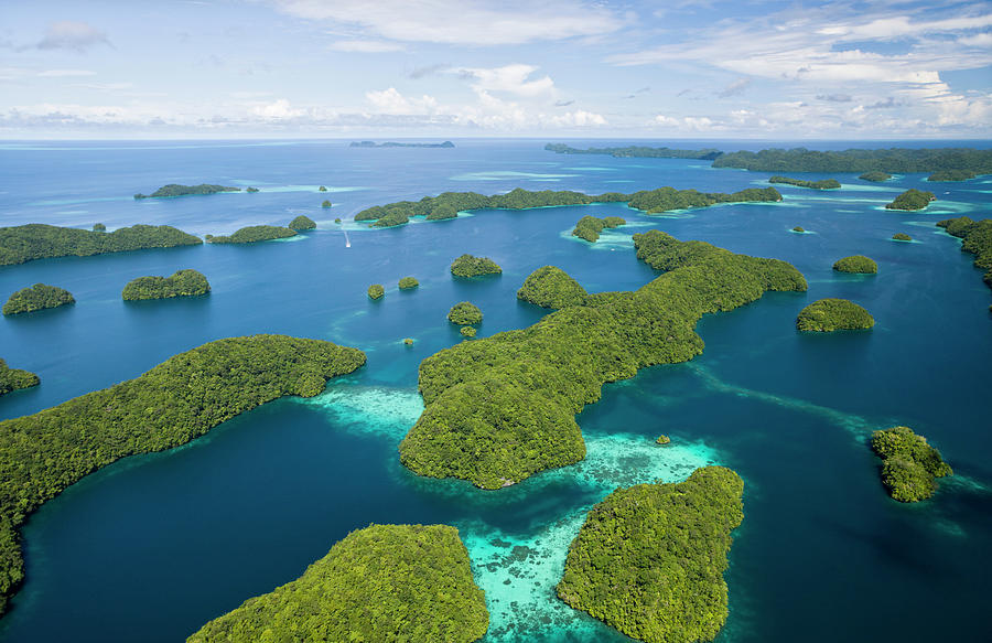 Aerial View Of Islands Of Palau Photograph by Reinhard Dirscherl | Fine ...