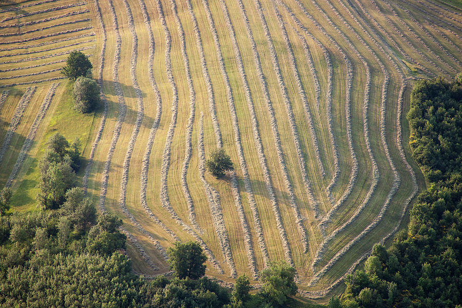 Aerial View Of Meadow Cut For Hay Photograph by Annette Lepple