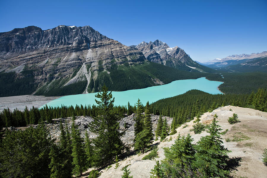 Aerial View Of Peyto Lake, Banff Photograph by Altrendo Nature