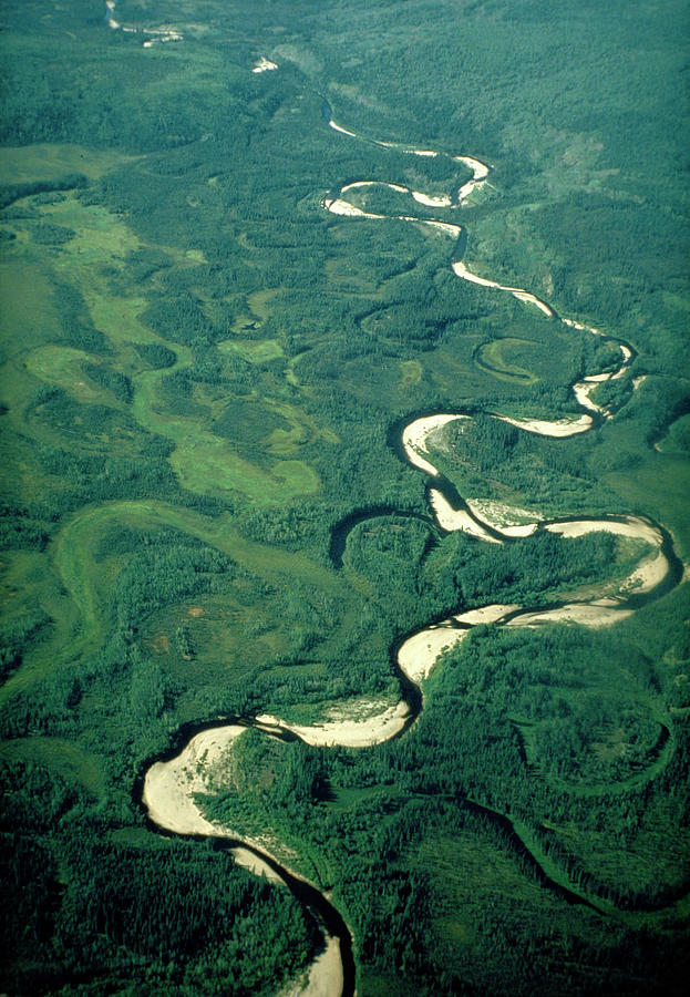 delta meander river