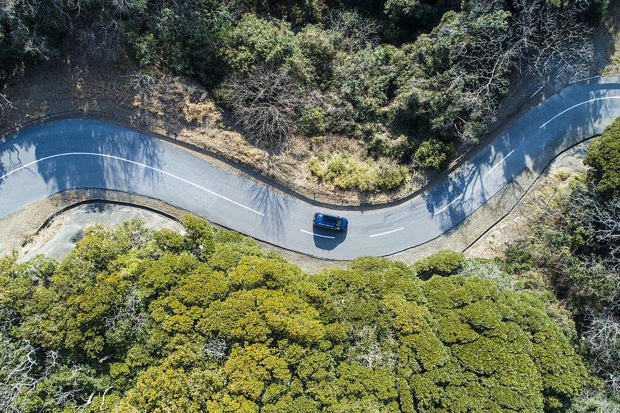 Aerial view of road amidst trees in forest. Photograph by Michael H