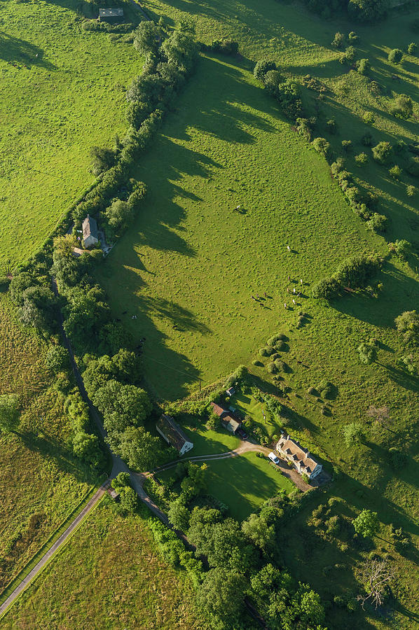 Aerial View Over Farmhouse Livestock Photograph by Fotovoyager