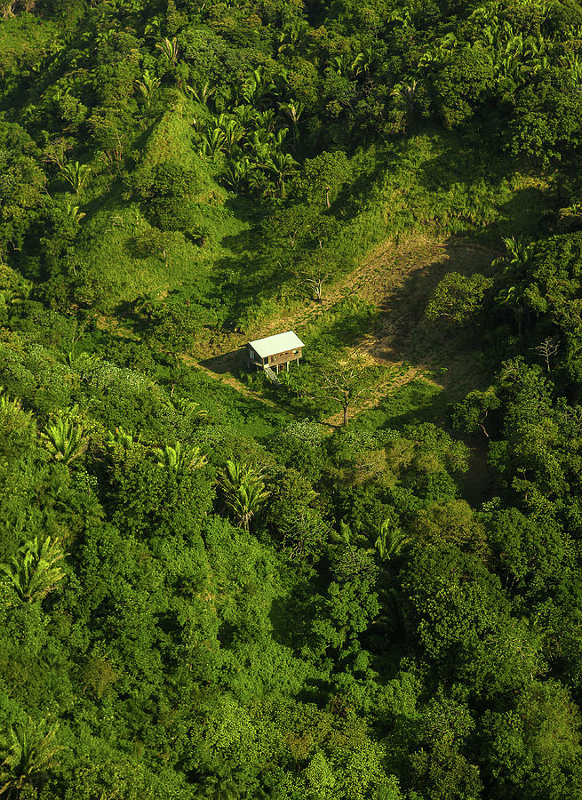 Aerial View Roatan Island In Honduras Photograph by Thepalmer