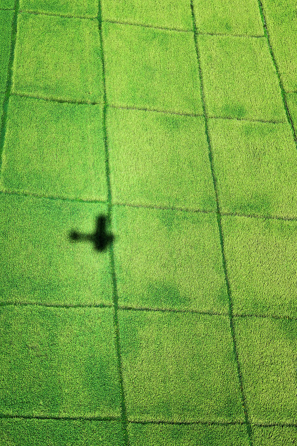 Aeroplane Shadow On Rice Paddy Fields Photograph by Pete Atkinson Aeroplane Shadow On Rice Paddy Fields Photograph by Pete Atkinson