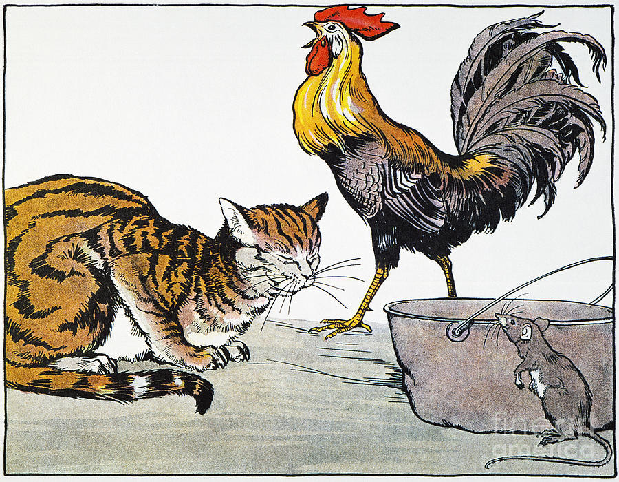 Aesop: Cat, Cock, And Mouse Photograph by Granger