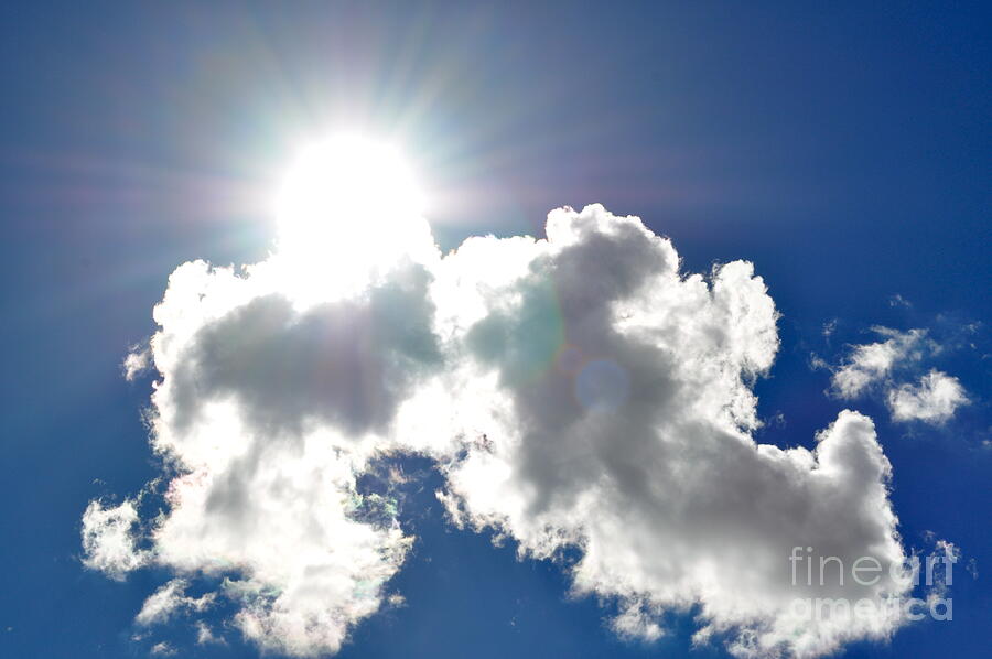 Sun Photograph - Affirmation Sunlit Oracle by Coralie Plozza Sun Photograph - Affirmation Sunlit Oracle by Coralie Plozza