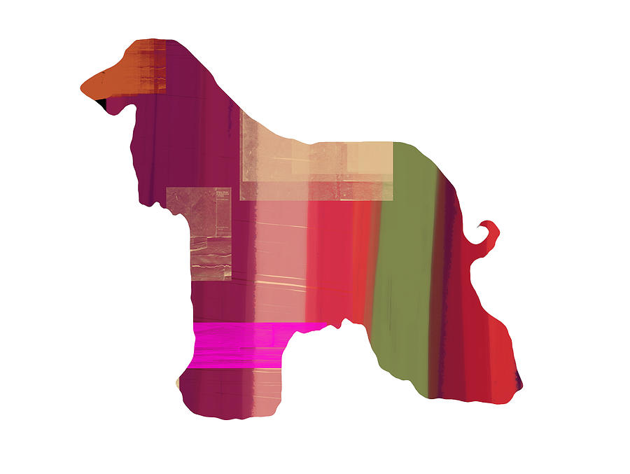 Dog Painting - Afghan Hound 2 by Naxart Studio