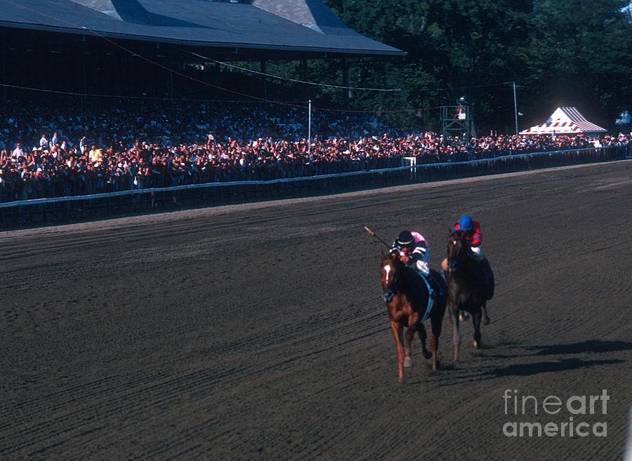 Affirmed #1 Photograph by Marc Bittan
