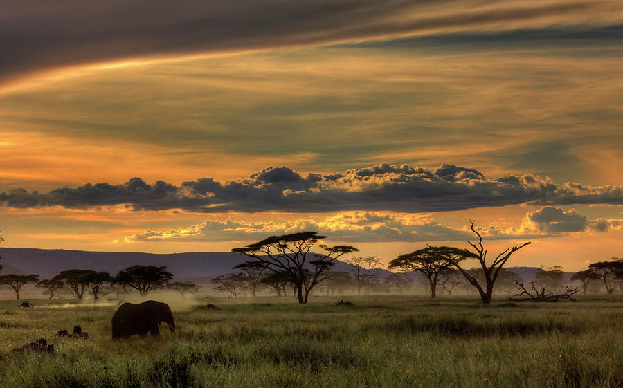 Tanzania Photograph - Africa by Amnon Eichelberg