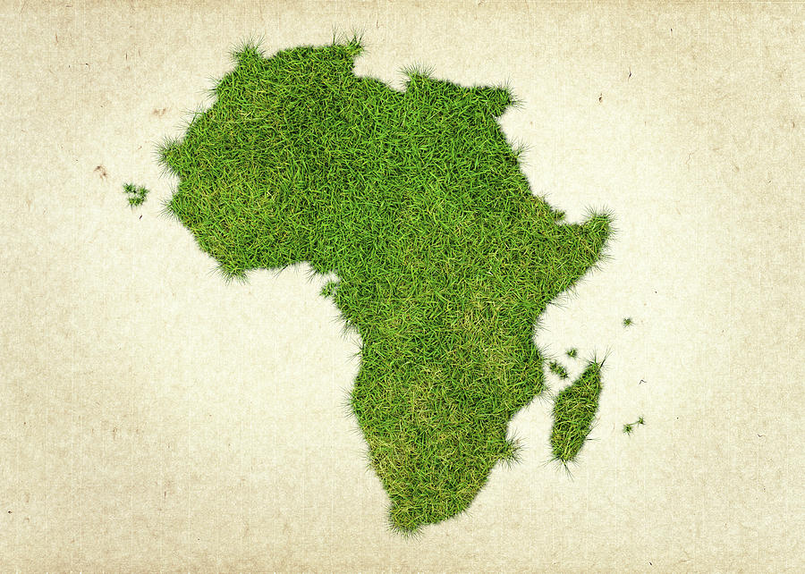 Nature Photograph - Africa Grass Map by Aged Pixel