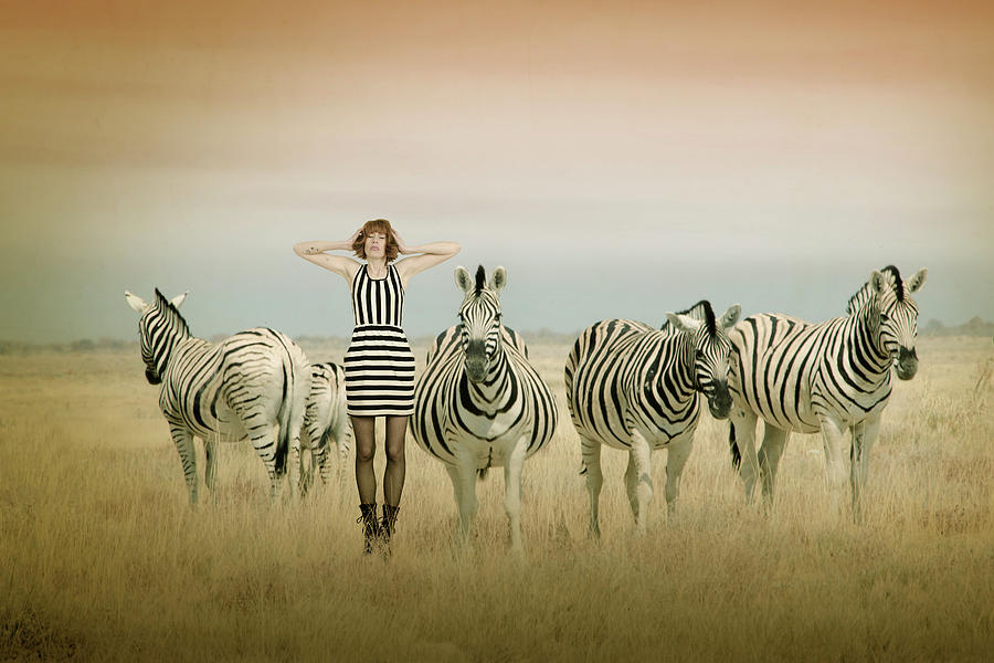 Zebra Photograph - Africa I by Christine Von Diepenbroek